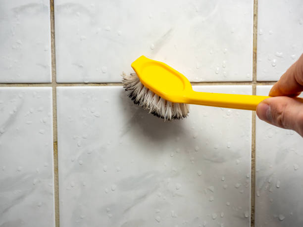 Best Mold Remediation for Specific Building Types in Abingdon, MD