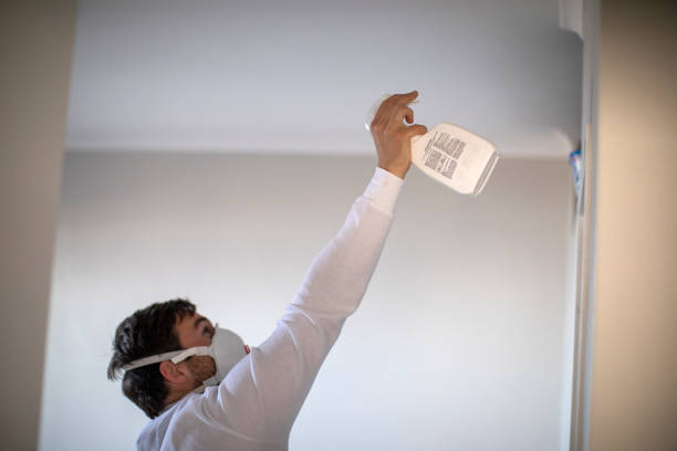 Best Bathroom Mold Remediation in Abingdon, MD