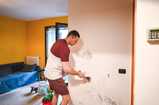 Best Localized Mold Remediation (e.g., coastal areas, humid climates) in Abingdon, MD